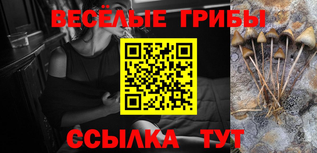 Псилоцибиновые грибы мицелий Среднеуральск